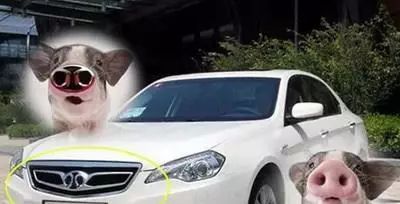 [車標(biāo)資訊]全球最美車標(biāo)，最丑車標(biāo)，最奇葩車標(biāo)都在這兒了！