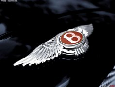 車標(biāo)帶B的都很牛，不過一般人