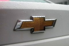 被車標(biāo)毀了的5個(gè)汽車品牌，第