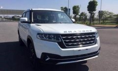 國產(chǎn)又出神車，車標(biāo)仿長安，