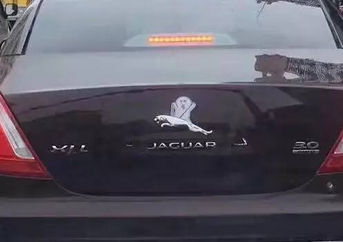 車標(biāo)都被玩壞了！這些車主一個(gè)個(gè)都是戲精吧 但較酷的居然是&hellip;