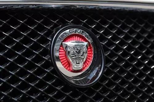 車標(biāo)上的動物都是啥來頭？看完又能出去裝X了