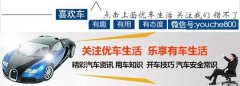 這幾款車車標(biāo)看起來很低調(diào)但